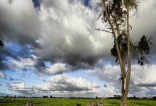 开云：王大雷和李源一去梅州客场了，接下来中超密集赛程对球队是挑战.