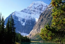 2024年中国路跑赛事749场、总规模超704万人次.