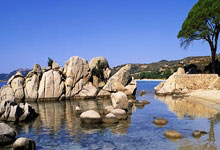 开云：孙颖莎／王艺迪晋级女双4强央视体育.